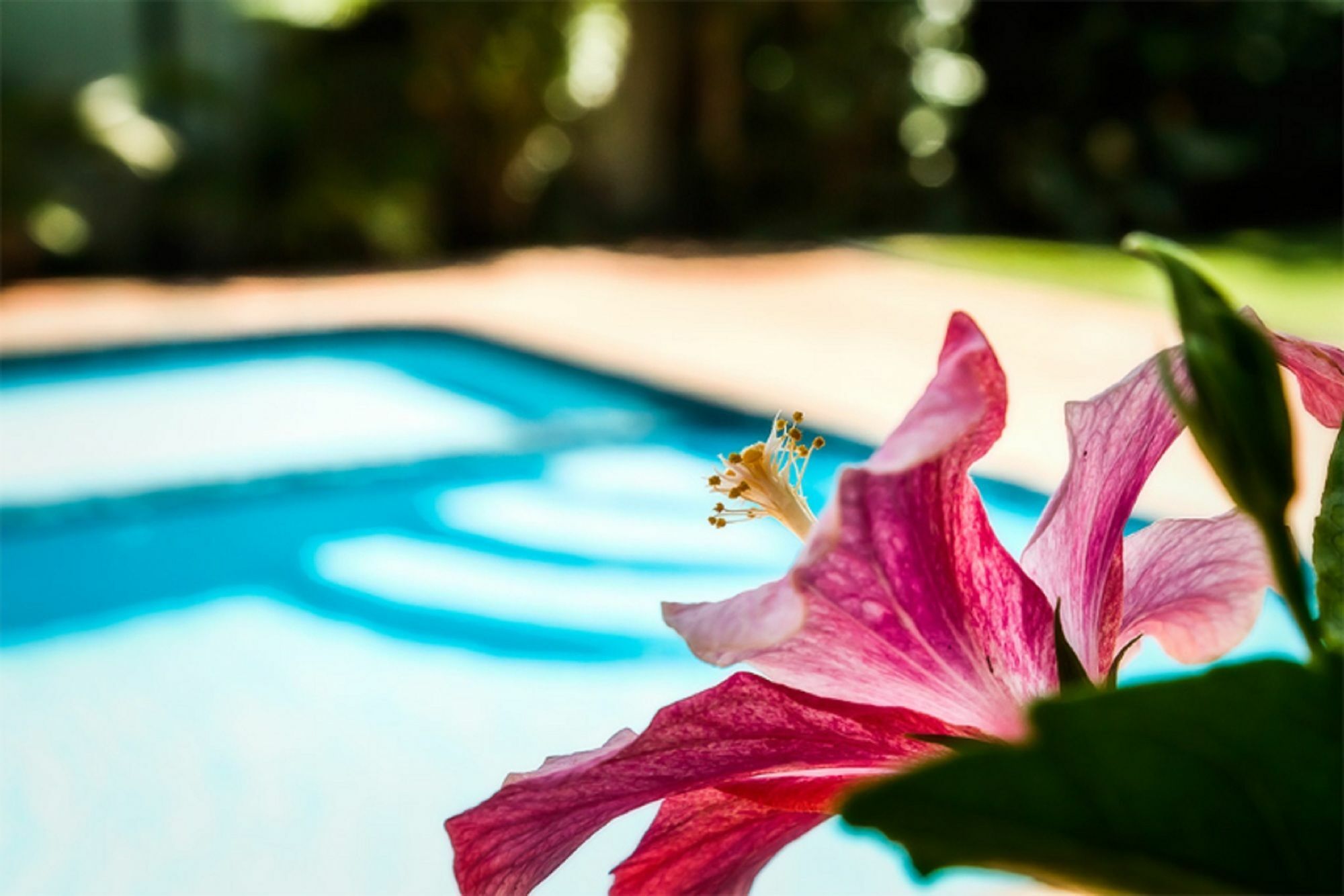 Coffs Harbour Holiday Apartments Luaran gambar